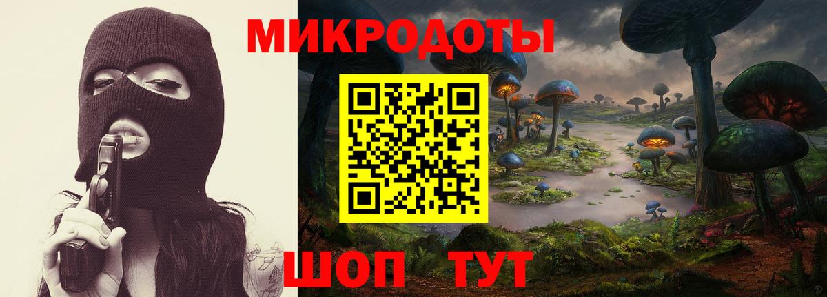 Галлюциногенные грибы мухоморы  Вход с VPN  Ярославль  Галлюциногенные грибы мицелий 